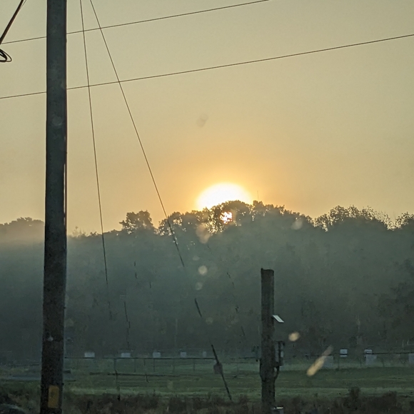 Meet your Posher, L - Picture 1 of 3